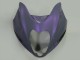 1996-2007 Suzuki GSXR 1300 Hayabusa Motorcycle Fairings - Chameleon Grey Dazz Pearl Purple UK